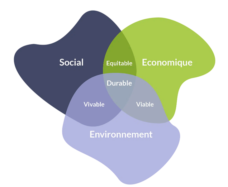 Schéma RSE : Social, économique, environnement, équitable, vivable, viable, durable